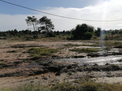 Terrenos 20 terrenos M. 428 en la Viuda  Punta del Diablo