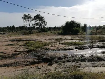 Lots 20 terrenos M. 428 en la Viuda  Punta del Diablo