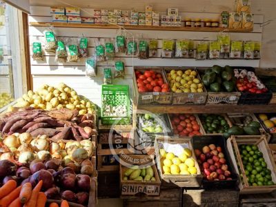 Autoservice Sandra 2 - Punta del Diablo