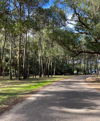 Laguna del Sauce - Maldonado