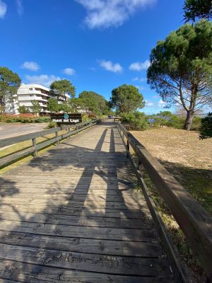 Laguna del Sauce - Maldonado