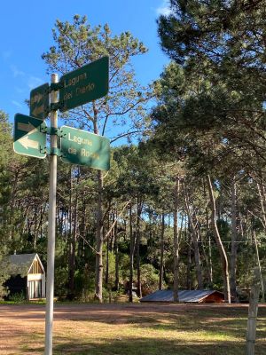 Laguna del Sauce - Maldonado