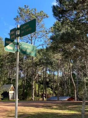 Laguna del Sauce - Maldonado