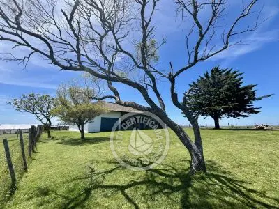 Casa El Relincho - Casa de Campo en Carapé Sierras de Minas