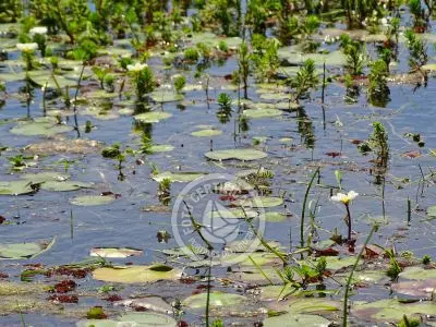 Casa El Relincho - Casa de Campo en Carapé Sierras de Minas