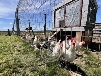 Casa El Relincho - Casa de Campo en Carapé Sierras de Minas