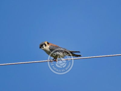 Casa El Relincho - Casa de Campo en Carapé Sierras de Minas