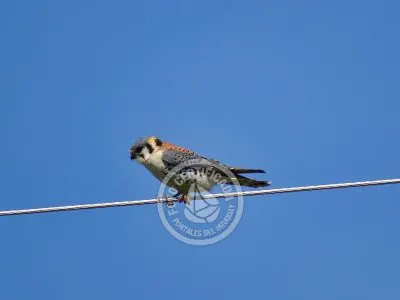 Casa El Relincho - Casa de Campo en Carapé Sierras de Minas