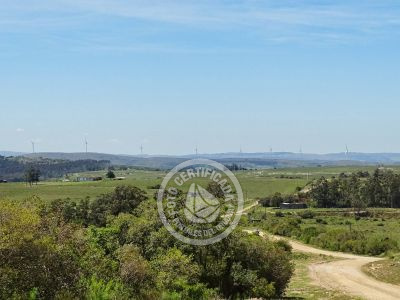 Casa El Relincho - Casa de Campo en Carapé Sierras de Minas