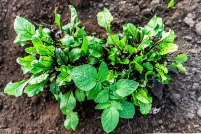 Casa El Relincho - Casa de Campo en Carapé Sierras de Minas