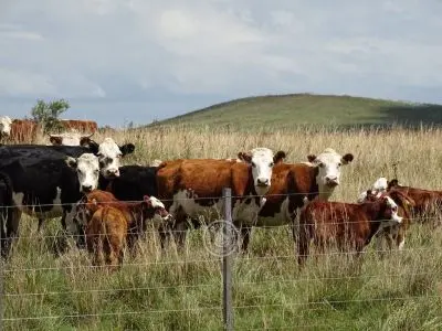 Casa El Relincho - Casa de Campo en Carapé Sierras de Minas