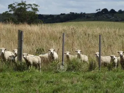 Casa El Relincho - Casa de Campo en Carapé Sierras de Minas