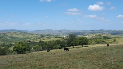 Sierra de Carapé - Lavalleja y Malonado