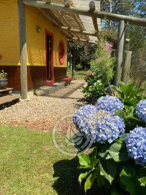 Cabaña Las Pitucas - Arazá La Paloma