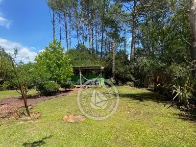 Cabaña Las Pitucas - Arazá La Paloma