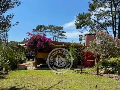 Cabaña Las Pitucas - Arazá La Paloma