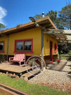Cabin Las Pitucas - Arazá La Paloma