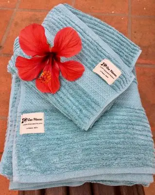 Las Pitucas - araza - La Paloma