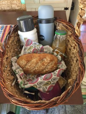 Las Pitucas - araza - La Paloma