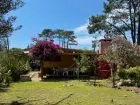 Cabaña Las Pitucas - Arazá La Paloma