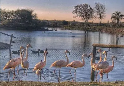 Lago del Ecoparque Tálice