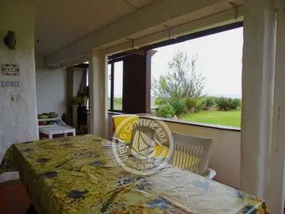 El Olvido - La Paloma 