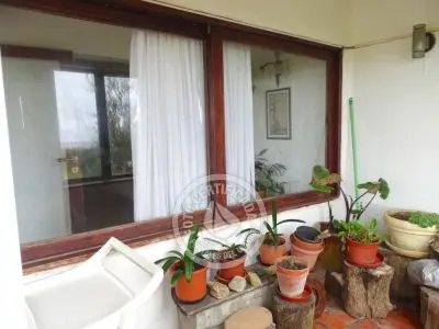 El Olvido - La Paloma 