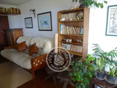 El Olvido - La Paloma 