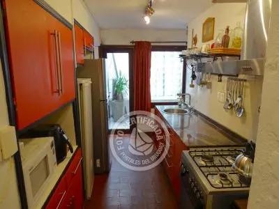 El Olvido - La Paloma 