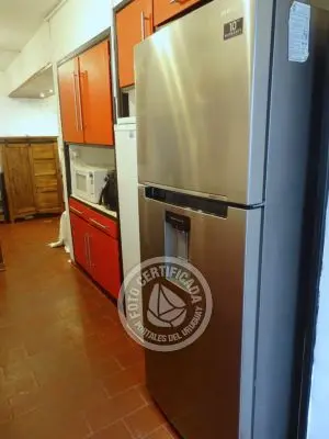 El Olvido - La Paloma 