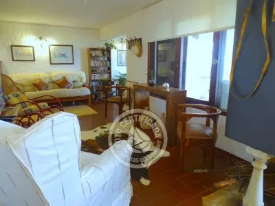 El Olvido - La Paloma 