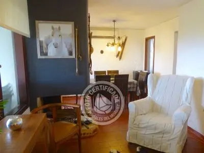 El Olvido - La Paloma 