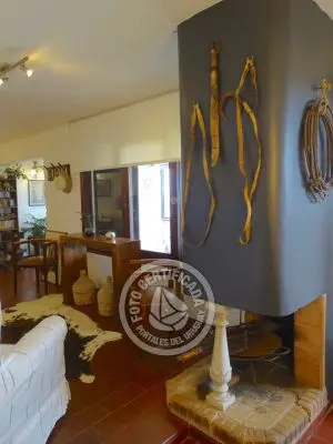 El Olvido - La Paloma 