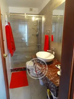 El Olvido - La Paloma 