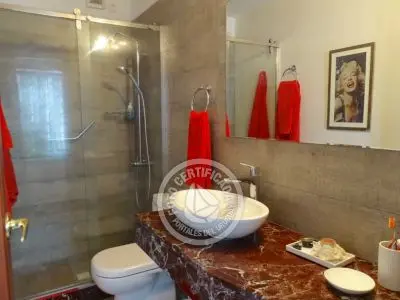 El Olvido - La Paloma 