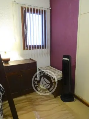 El Olvido - La Paloma 