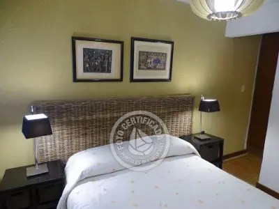 El Olvido - La Paloma 