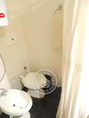 El Olvido - La Paloma 