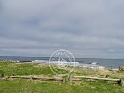 El Olvido - La Paloma 