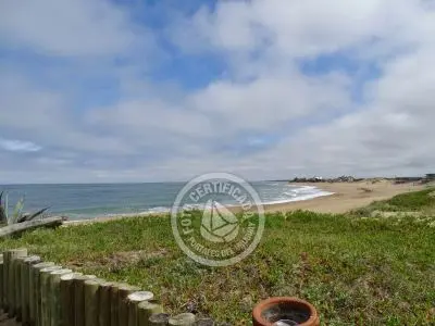 El Olvido - La Paloma 