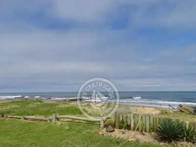 El Olvido - La Paloma 