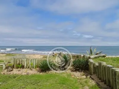 El Olvido - La Paloma 