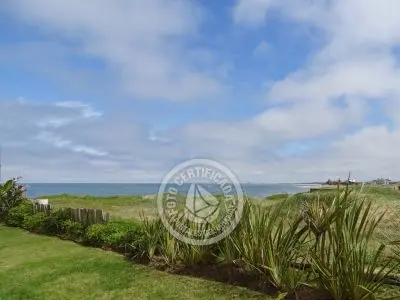 El Olvido - La Paloma 