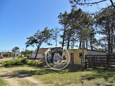 Piratas del Diablo - Punta del Diablo