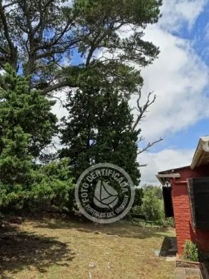 Casa El Mangurú Villa Serrana