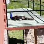 Casa El Mangurú Villa Serrana