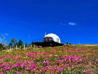 Country Inn Domos del Plata Lavalleja