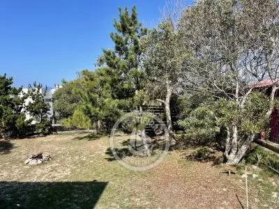 House  Xove. Punta del Diablo