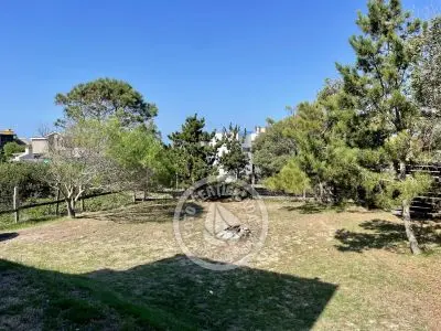 House  Xove. Punta del Diablo