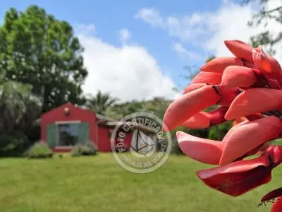 Chalet en Vergel de San Francisco - retiro con encanto